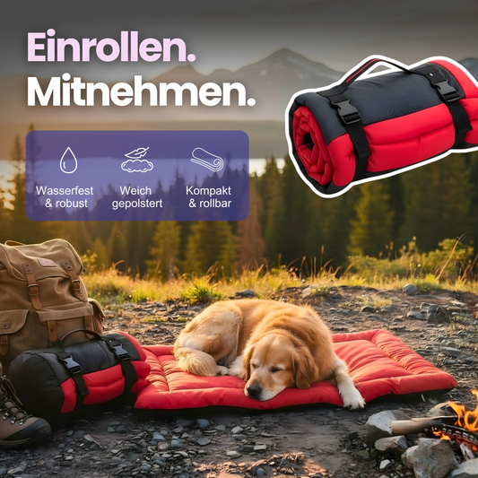 Rollbares Reise-Hundebett – Komfort für unterwegs, überall