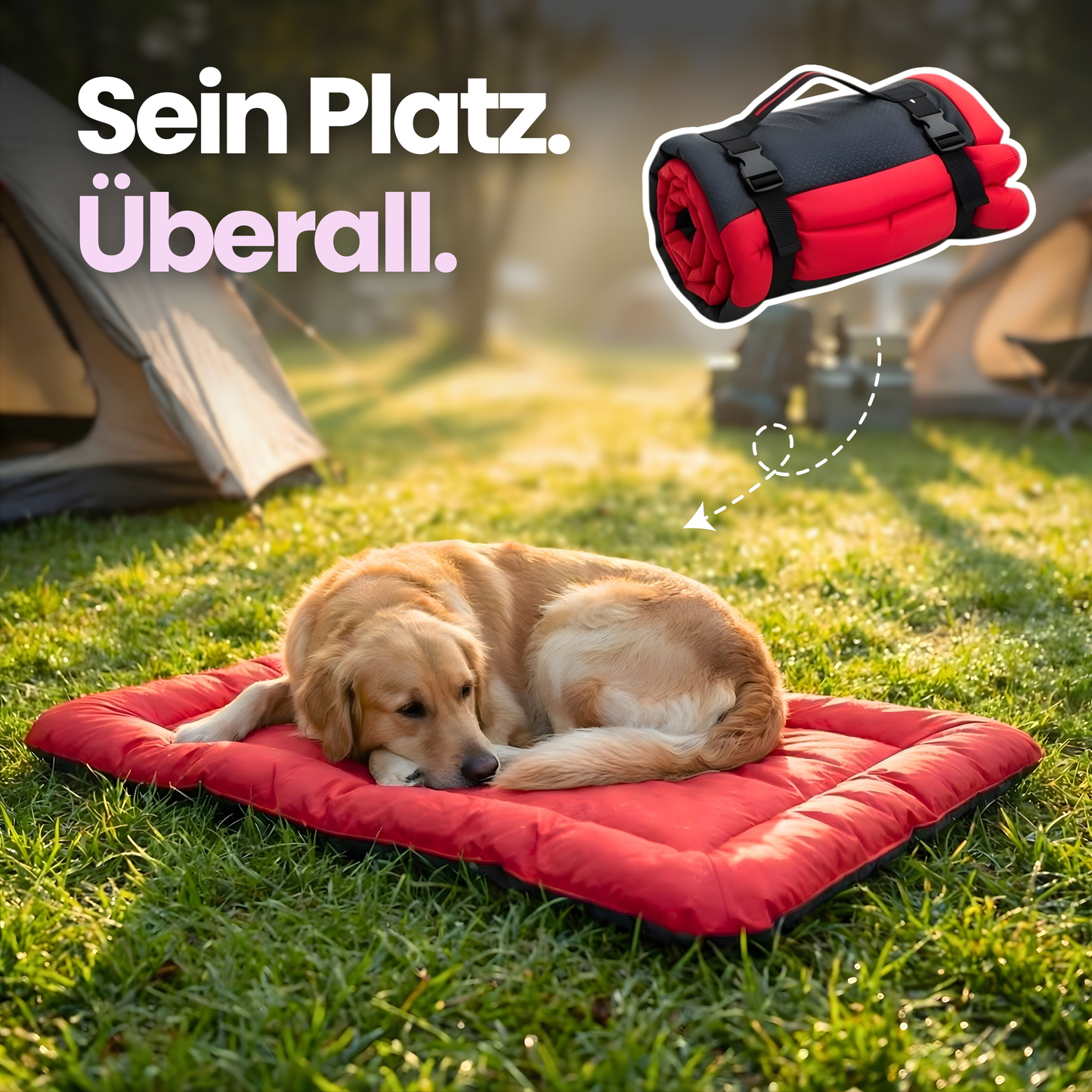 Rollbares Reise-Hundebett – Komfort für unterwegs, überall