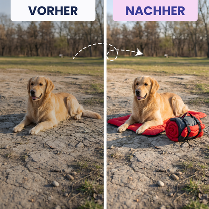 Rollbares Reise-Hundebett – Komfort für unterwegs, überall