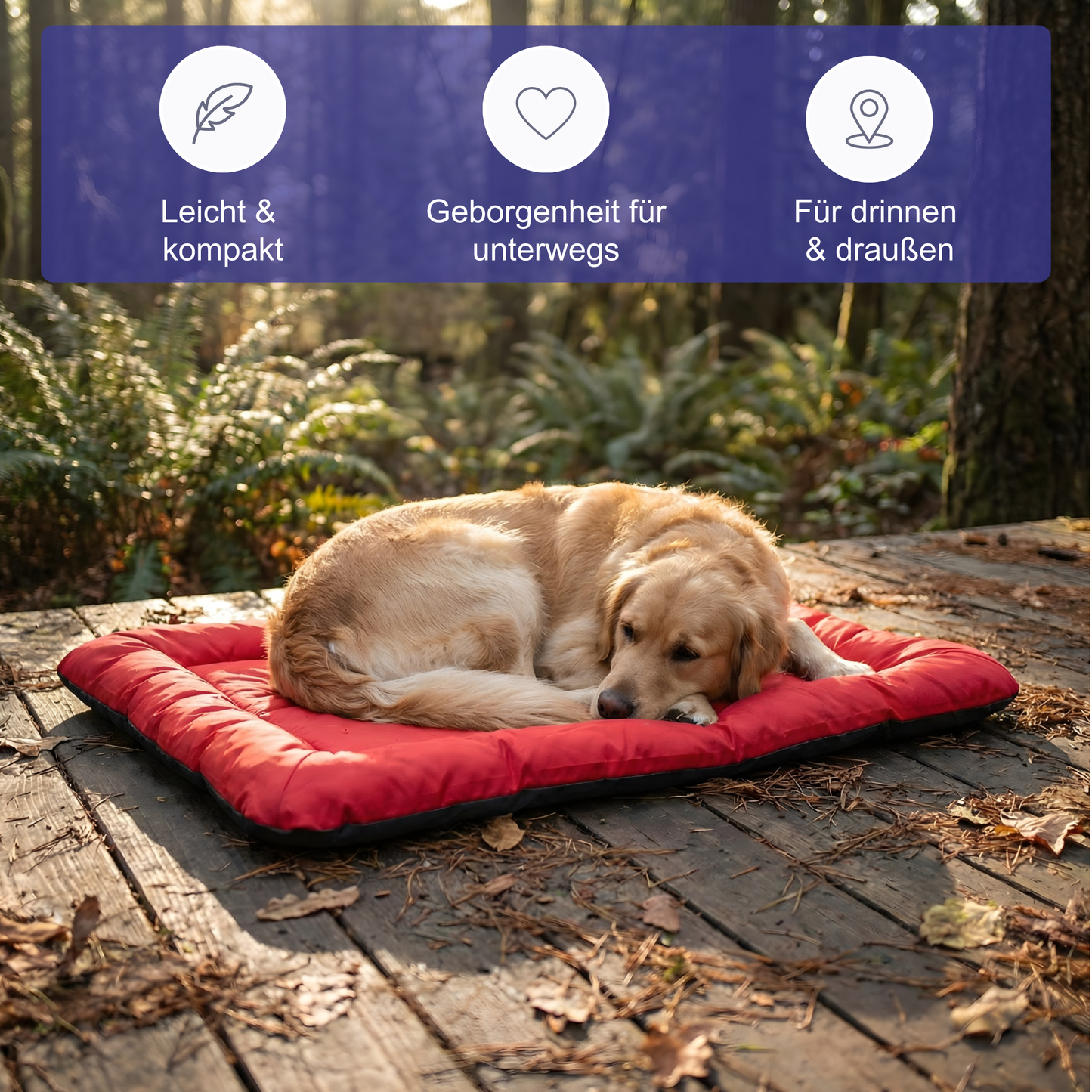 Rollbares Reise-Hundebett – Komfort für unterwegs, überall